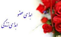 اهدای اعضای سه بیمار مرگ مغزی در یزد، جان 9 نیازمند پیوند عضو را نجات داد